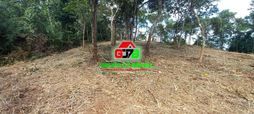 Terreno, 3 hectares - Foto 4