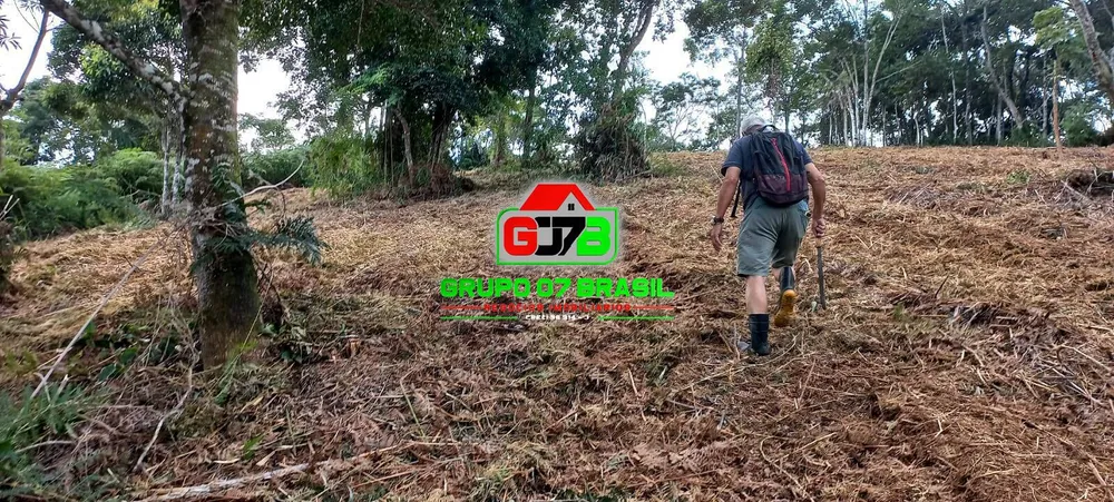 Terreno, 3 hectares - Foto 3