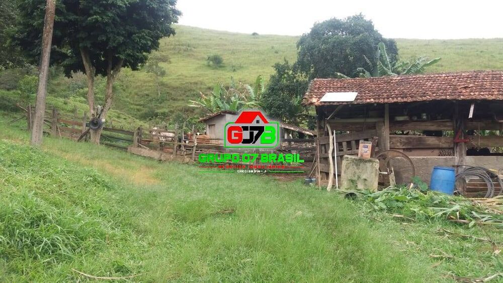 Sítio à venda com 4 quartos, 150m² - Foto 4
