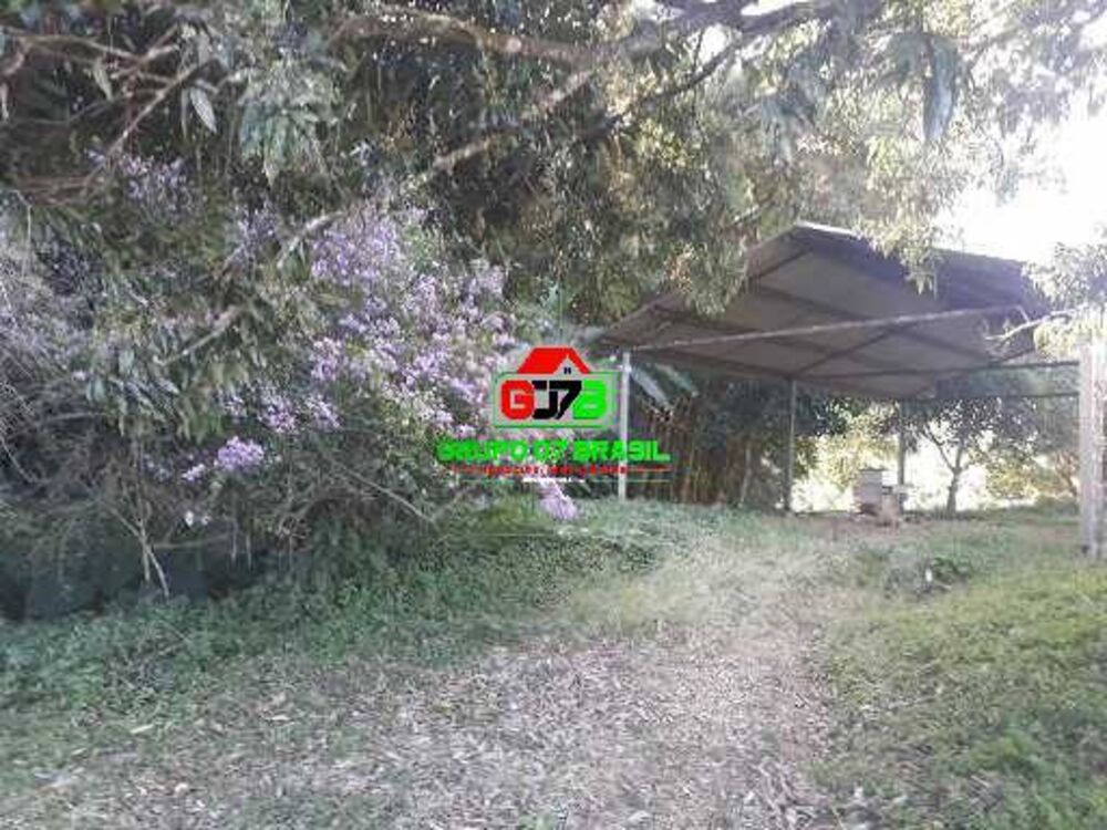 Chácara, 3 quartos, 6000 m² - Foto 8