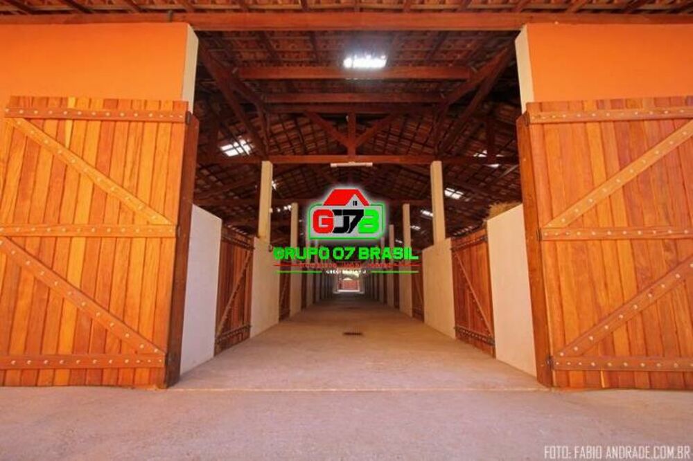 Sítio, 4 quartos, 87 hectares - Foto 4