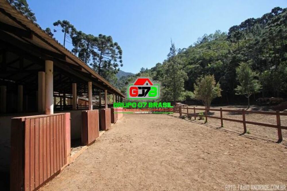 Sítio, 4 quartos, 87 hectares - Foto 13
