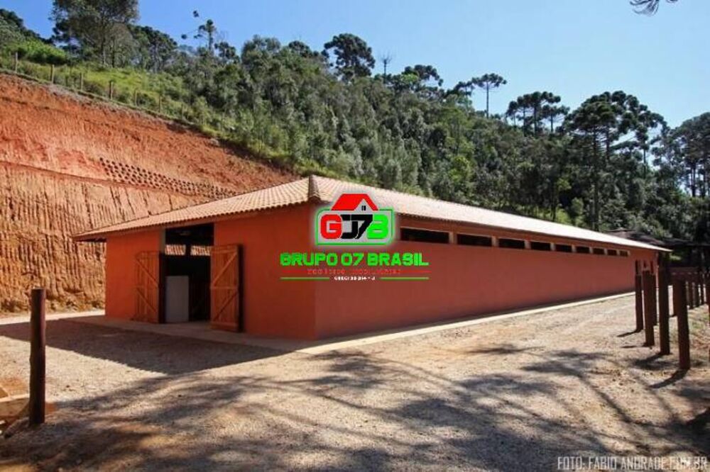 Sítio, 4 quartos, 87 hectares - Foto 3