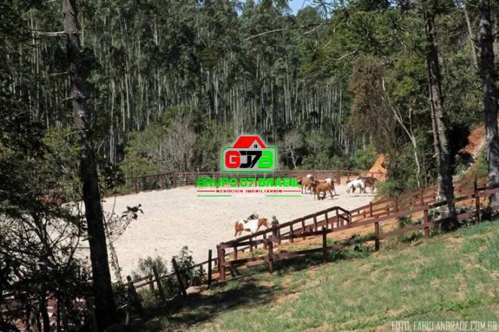 Sítio, 4 quartos, 87 hectares - Foto 10