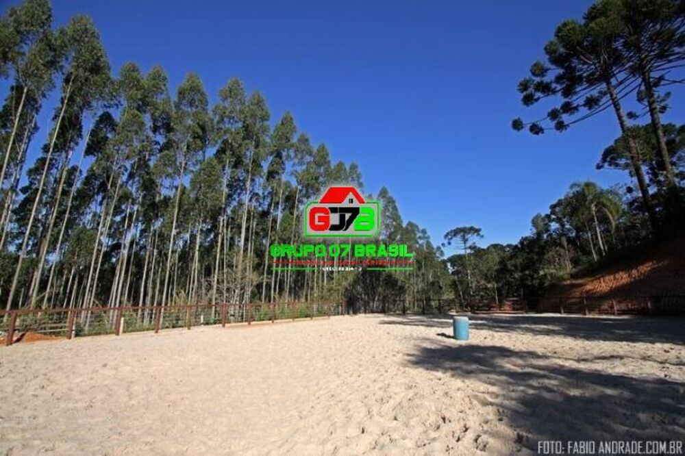 Sítio, 4 quartos, 87 hectares - Foto 7