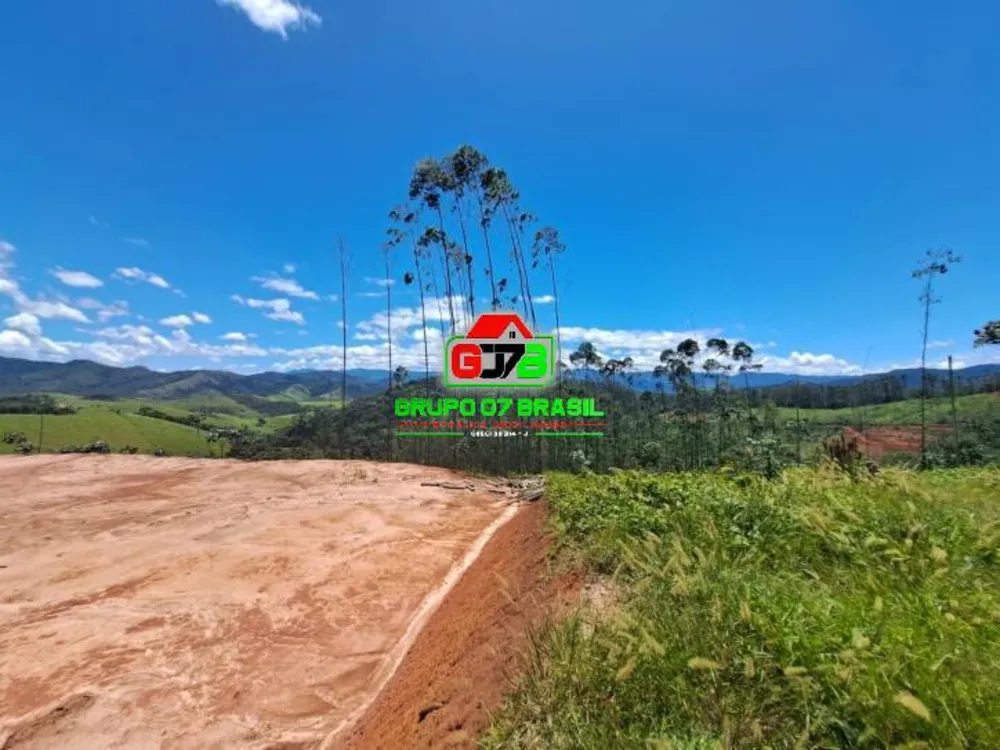 Terreno, 3 hectares - Foto 4