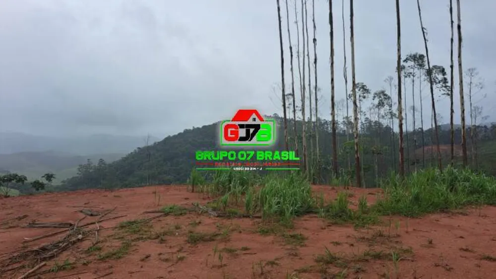 Terreno, 3 hectares - Foto 7