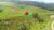 Terreno, 532 hectares - Foto 1