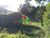 Terreno, 5000 m² - Foto 3
