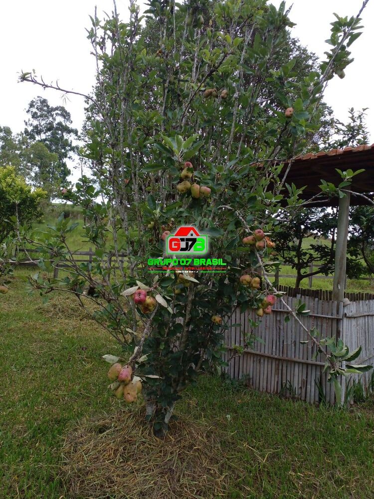 Terreno, 14 m² - Foto 7