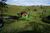 Terreno, 3 hectares - Foto 2