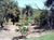 Fazenda, 145 hectares - Foto 3