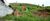Terreno, 350 m² - Foto 1