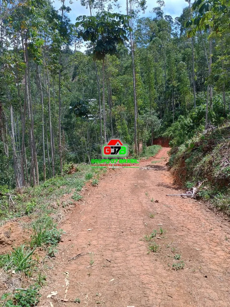 Terreno, 2 hectares - Foto 8