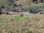 Terreno, 160 m² - Foto 9