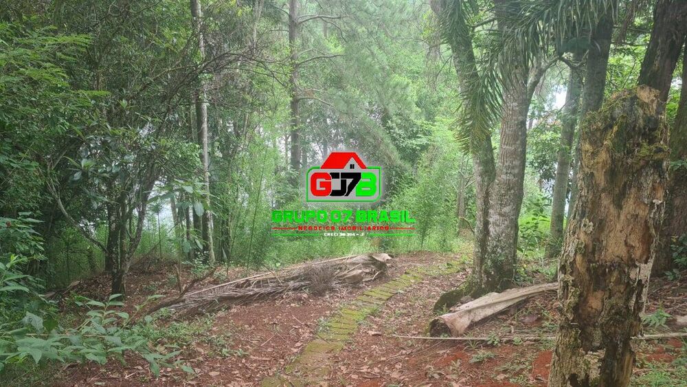Chácara à venda com 2 quartos, 90m² - Foto 2