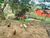 Terreno, 150 m² - Foto 12