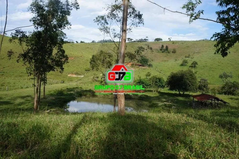Terreno, 3 hectares - Foto 4