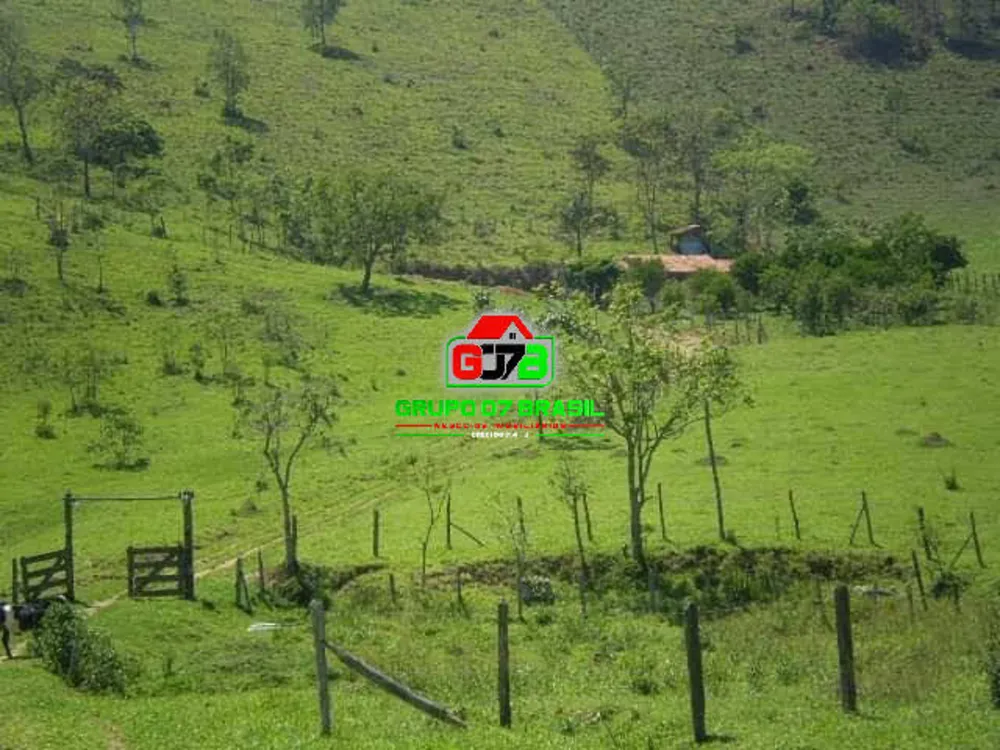 Terreno, 3 hectares - Foto 7