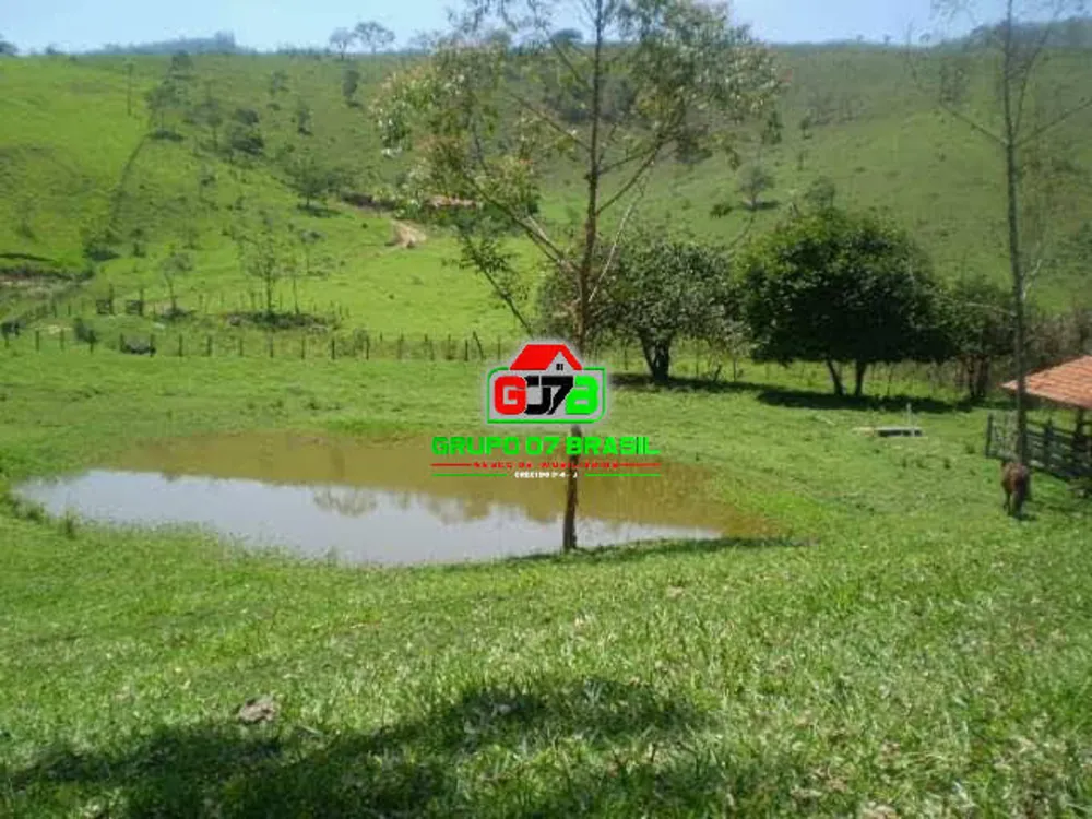 Terreno, 3 hectares - Foto 8