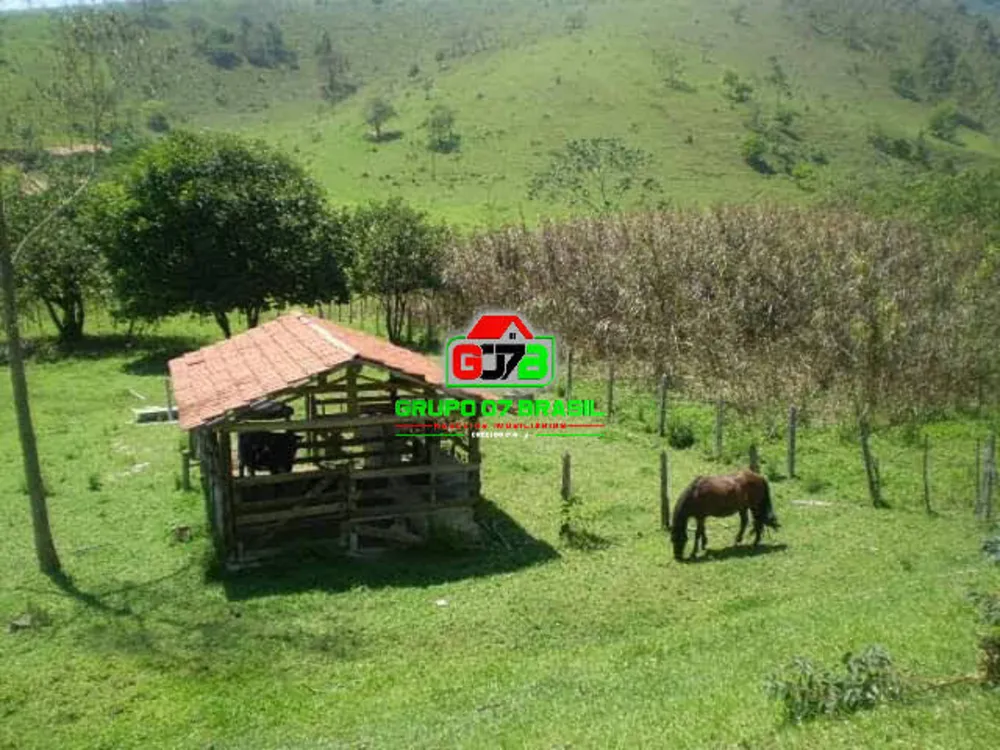 Terreno, 3 hectares - Foto 3