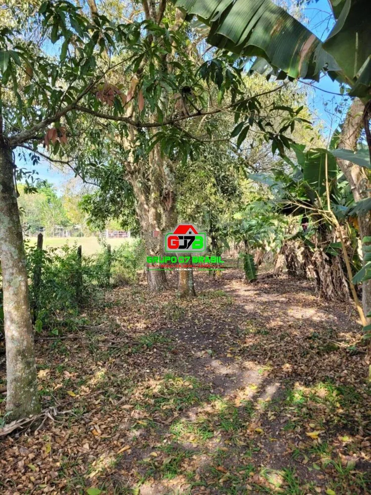 Sítio, 3 quartos, 3 hectares - Foto 11