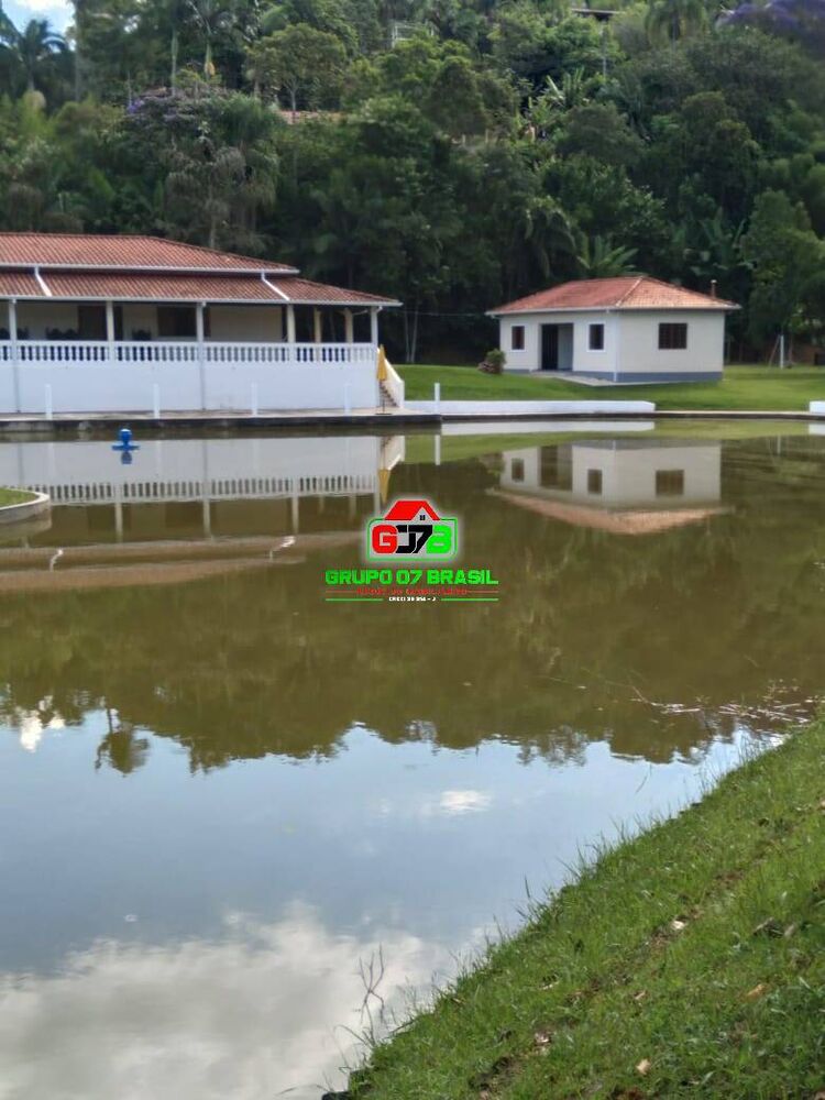 Terreno, 3 hectares - Foto 4