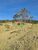 Terreno, 25 m² - Foto 4
