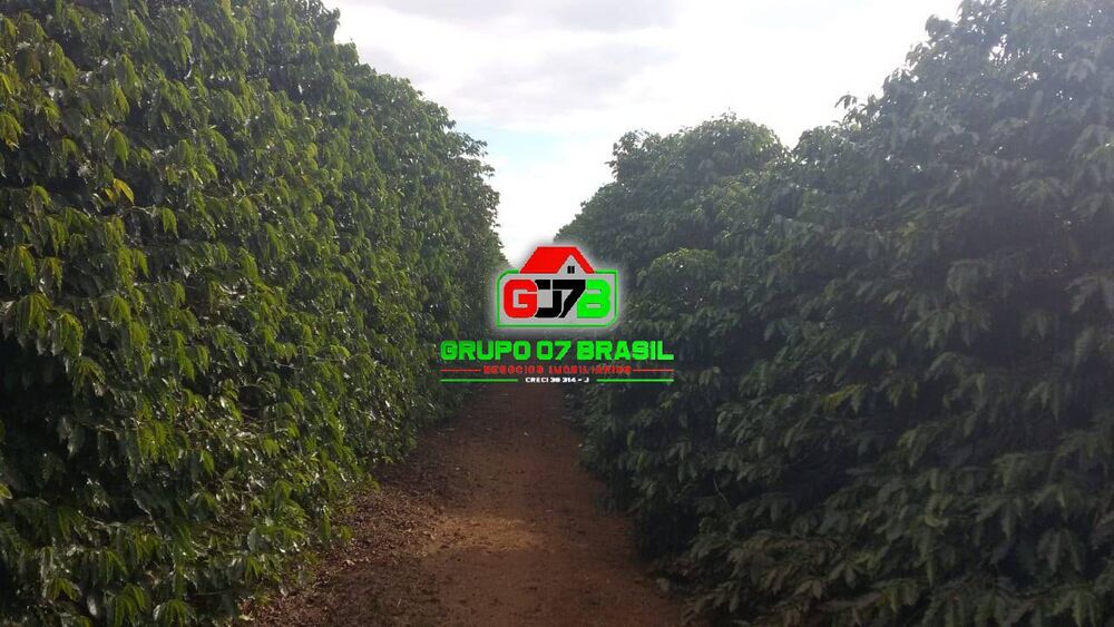 Fazenda à venda com 3 quartos, 200m² - Foto 4