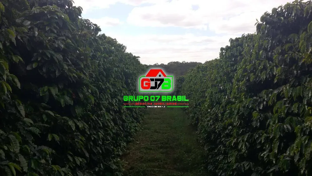 Fazenda, 200 m² - Foto 5