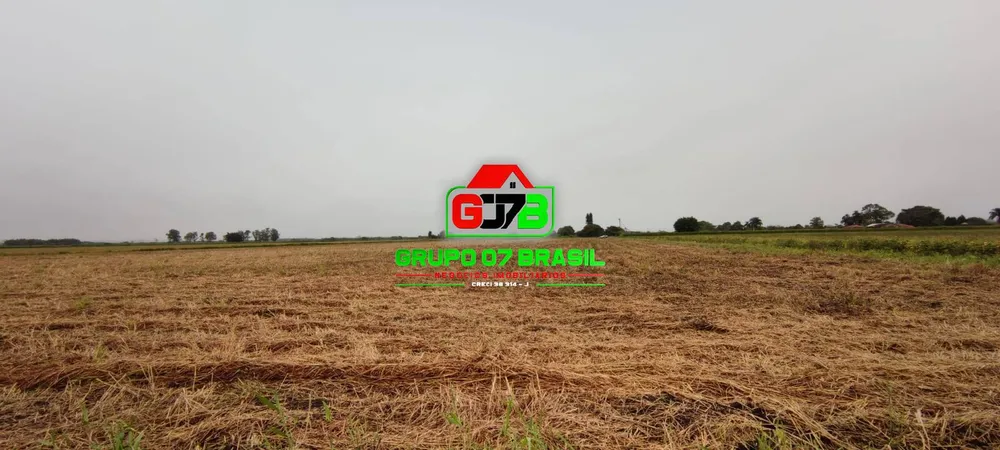 Terreno, 6 hectares - Foto 4