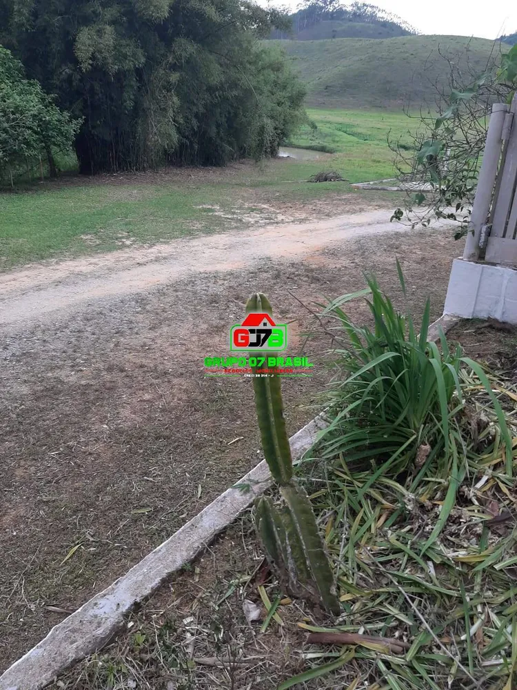 Terreno, 3 hectares - Foto 6