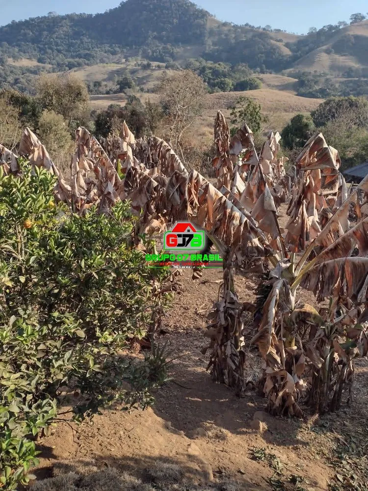 Terreno - Foto 7