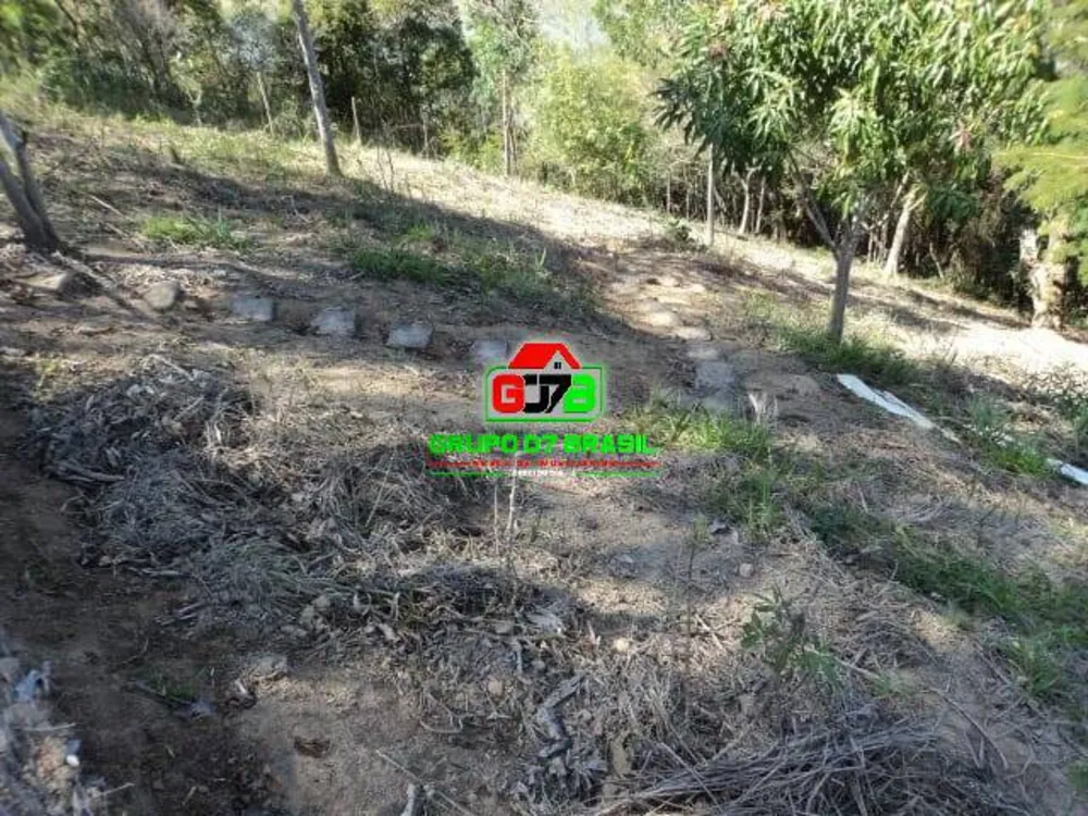 Terreno, 3000 m² - Foto 6