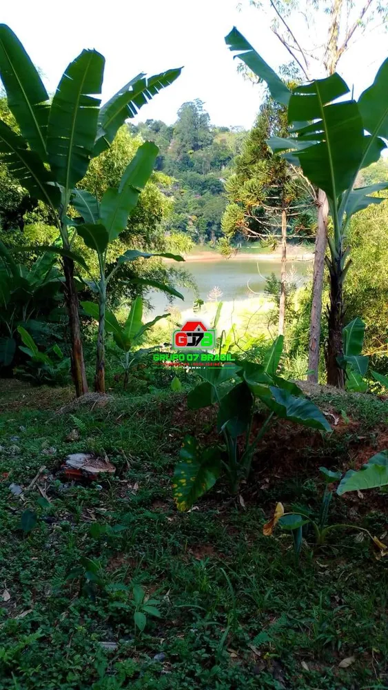 Chácara, 3 quartos, 5300 m² - Foto 3