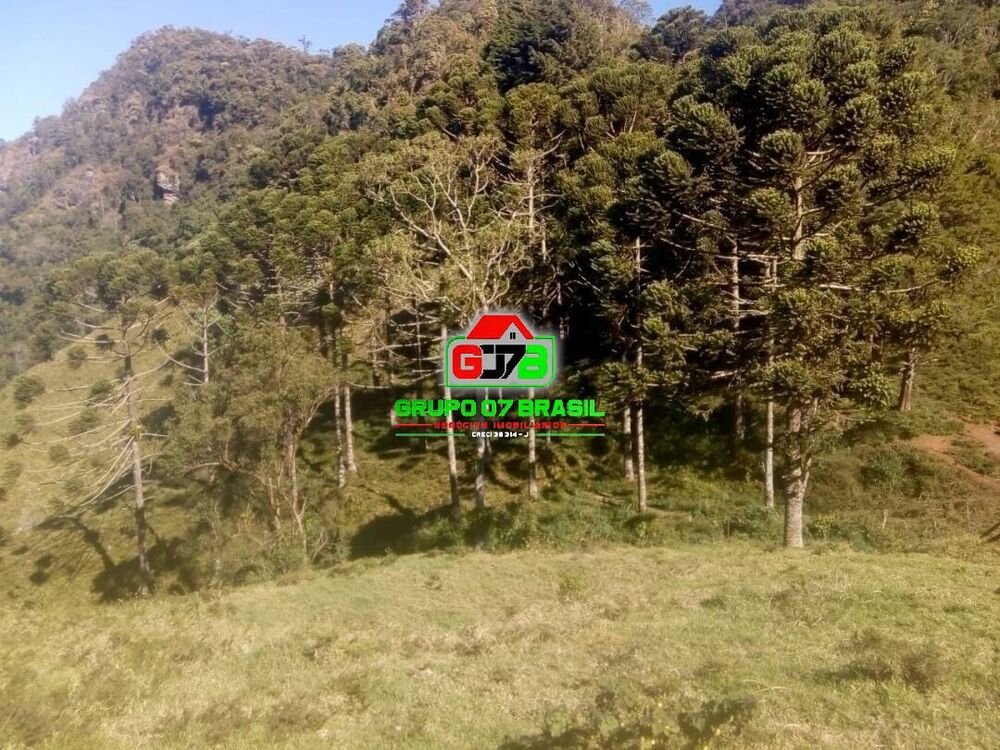 Terreno, 11 m² - Foto 3