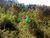 Terreno, 11 m² - Foto 3