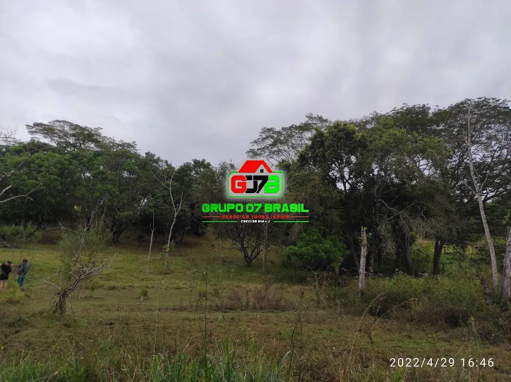 Terreno, 2 hectares - Foto 8