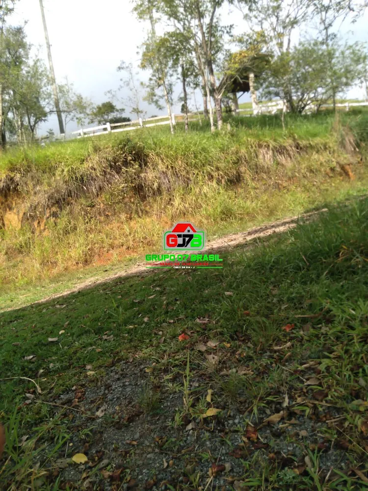 Terreno, 2 hectares - Foto 6