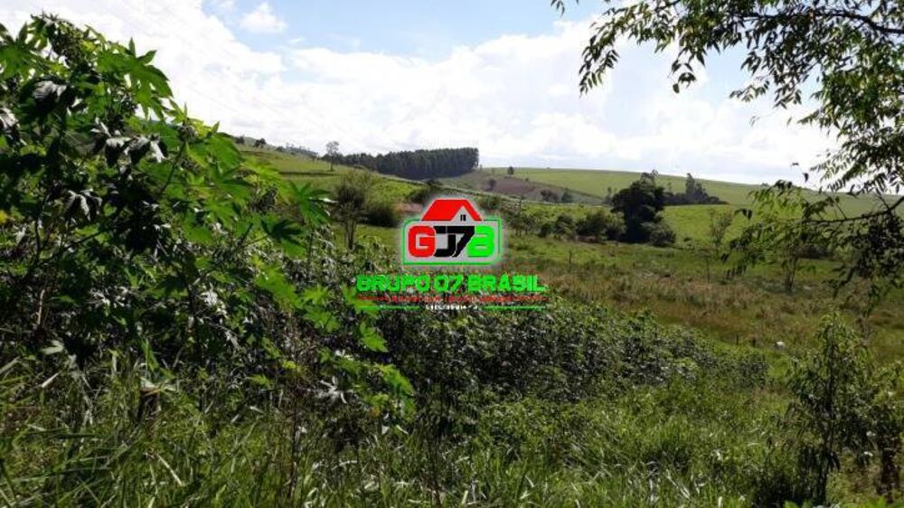 Terreno, 10 hectares - Foto 4