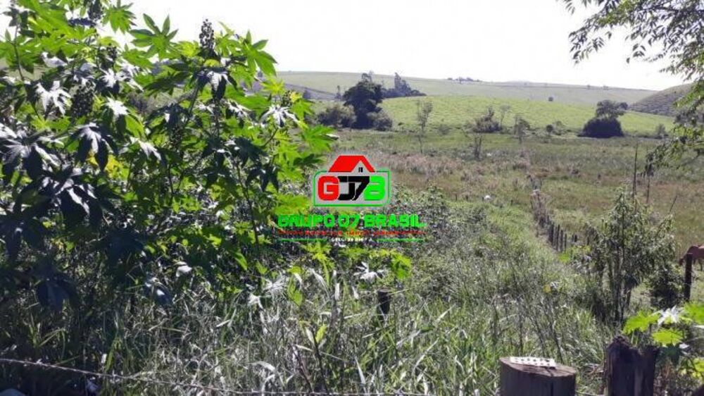 Terreno, 10 hectares - Foto 3