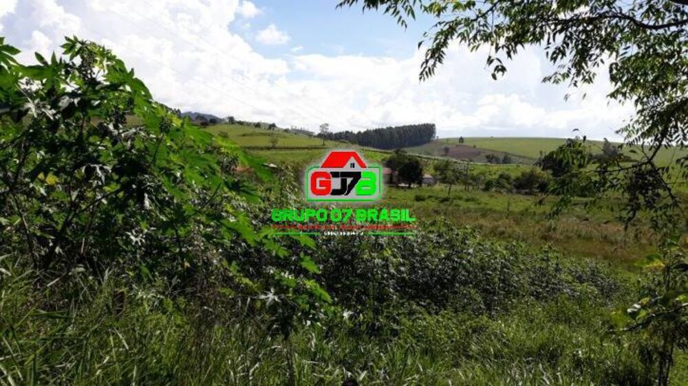 Terreno, 10 hectares - Foto 5