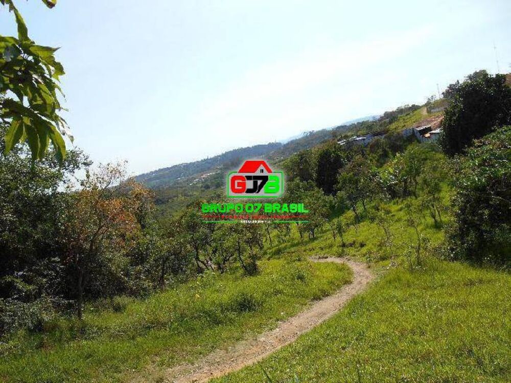 Terreno, 16 hectares - Foto 4