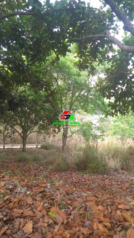 Terreno, 5826 m² - Foto 6