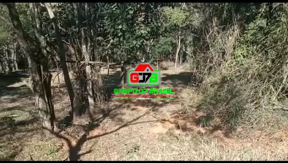 Terreno, 3 hectares - Foto 8
