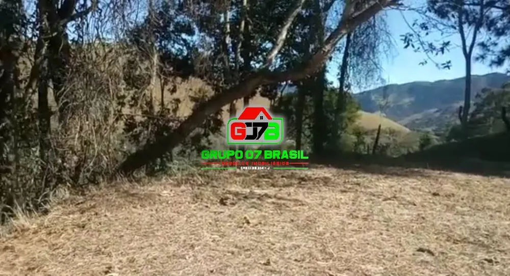 Terreno, 3 hectares - Foto 2