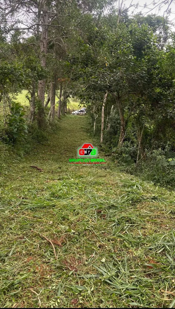 Terreno, 3 hectares - Foto 2