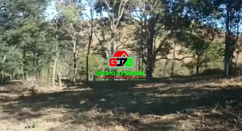 Terreno, 3 hectares - Foto 6