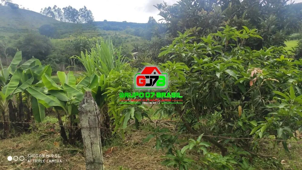 Terreno, 2 hectares - Foto 3