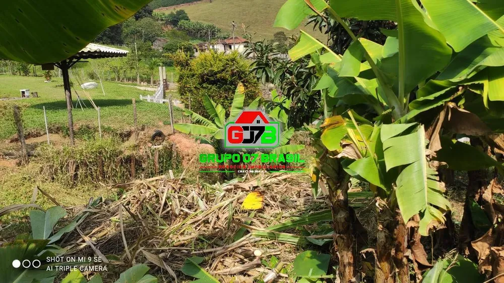 Terreno, 2 hectares - Foto 6
